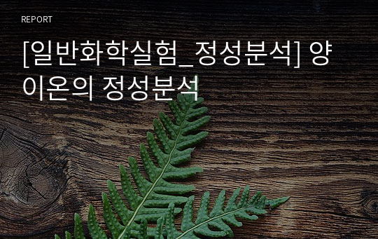 [일반화학실험_정성분석] 양이온의 정성분석