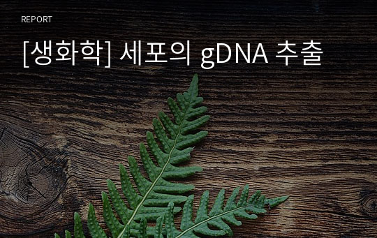 [생화학] 세포의 gDNA 추출
