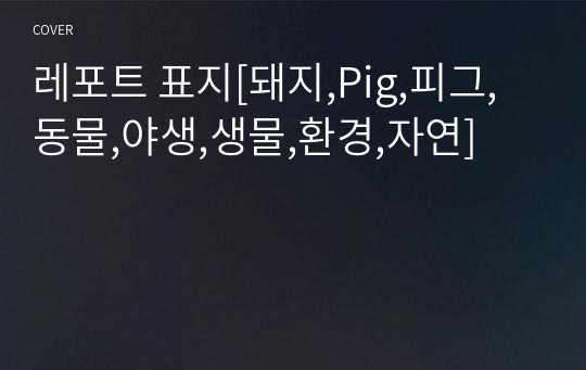 레포트 표지[돼지,Pig,피그,동물,야생,생물,환경,자연]