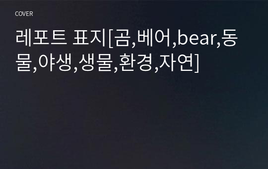 레포트 표지[곰,베어,bear,동물,야생,생물,환경,자연]