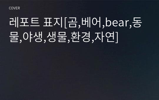 레포트 표지[곰,베어,bear,동물,야생,생물,환경,자연]