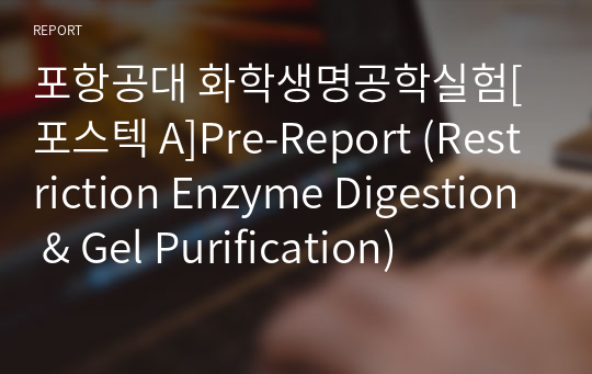 포항공대 화학생명공학실험[포스텍 A]Pre-Report (Restriction Enzyme Digestion &amp; Gel Purification)