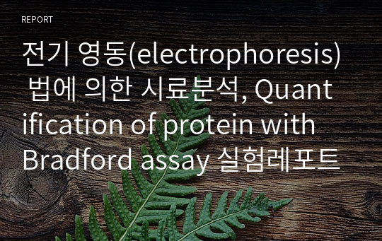 전기 영동(electrophoresis) 법에 의한 시료분석, Quantification of protein with Bradford assay 실험레포트