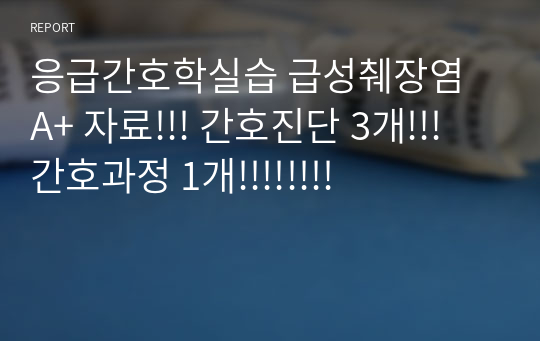 응급간호학실습 급성췌장염 A+ 자료!!! 간호진단 3개!!! 간호과정 1개!!!!!!!!