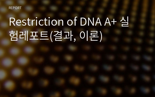 Restriction of DNA A+ 실험레포트(결과, 이론)