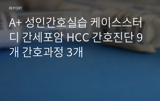 A+ 성인간호실습 케이스스터디 간세포암 HCC 간호진단 9개 간호과정 3개