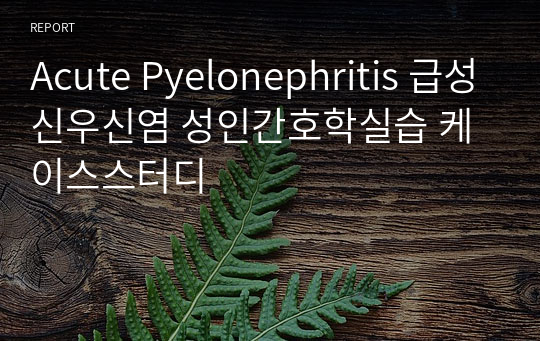 Acute Pyelonephritis 급성신우신염 성인간호학실습 케이스스터디