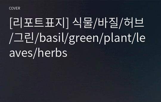 [리포트표지] 식물/바질/허브/그린/basil/green/plant/leaves/herbs