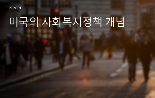 미국의 사회복지정책 개념