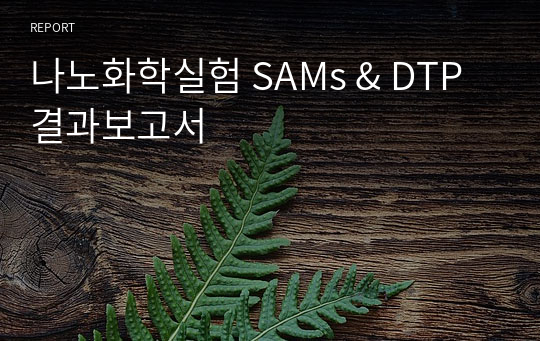 나노화학실험 SAMs &amp; DTP 결과보고서