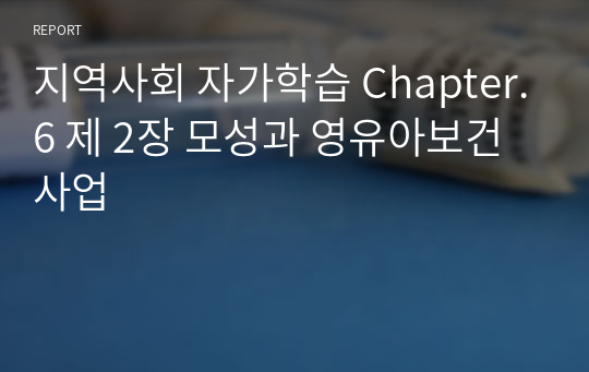 지역사회 자가학습 Chapter.6 제 2장 모성과 영유아보건사업