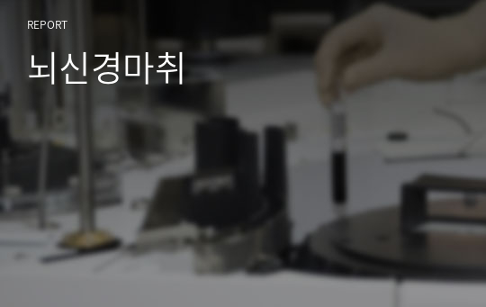 뇌신경마취