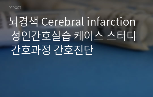 뇌경색 Cerebral infarction 성인간호실습 케이스 스터디 간호과정 간호진단