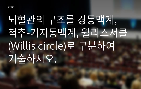 뇌혈관의 구조를 경동맥계, 척추-기저동맥계, 윌리스서클(Willis circle)로 구분하여 기술하시오.