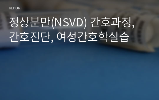 정상분만(NSVD) 간호과정, 간호진단, 여성간호학실습