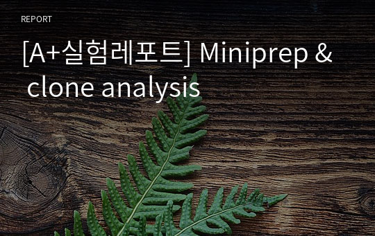 [A+실험레포트] Miniprep &amp; clone analysis