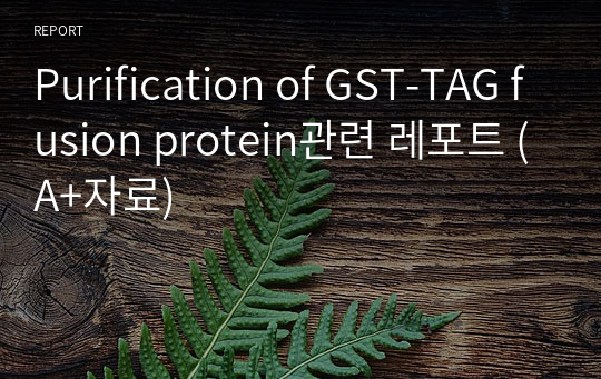 Purification of GST-TAG fusion protein관련 레포트 (A+자료)