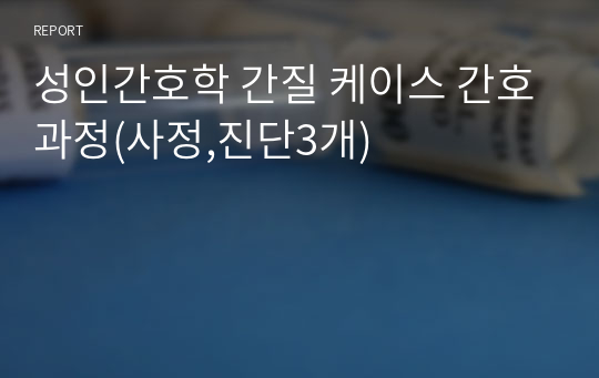 성인간호학 간질 케이스 간호과정(사정,진단3개)