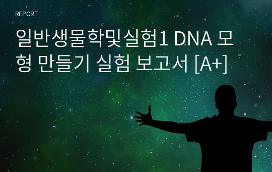 일반생물학및실험1 DNA 모형 만들기 실험 보고서 [A+]