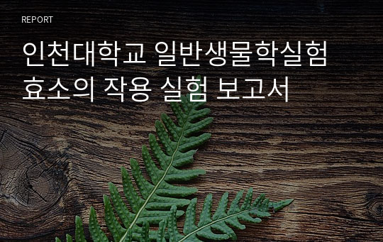 인천대학교 일반생물학실험 효소의 작용 실험 보고서