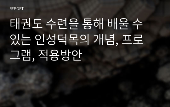 태권도 수련을 통해 배울 수 있는 인성덕목의 개념, 프로그램, 적용방안