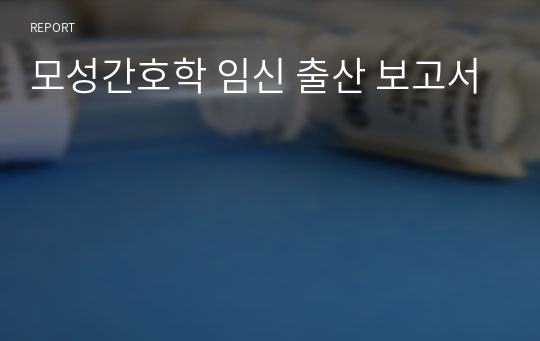 모성간호학 임신 출산 보고서