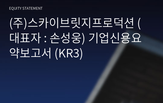 (주)스카이브릿지프로덕션 기업신용요약보고서 (KR3)