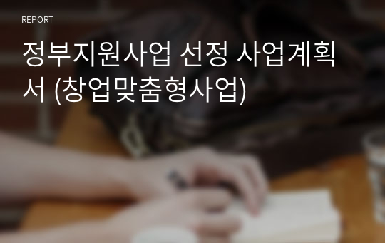 정부지원사업 선정 합격 사업계획서 (창업맞춤형사업)