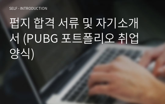 펍지 합격 서류 및 자기소개서 (PUBG 포트폴리오 취업 양식)