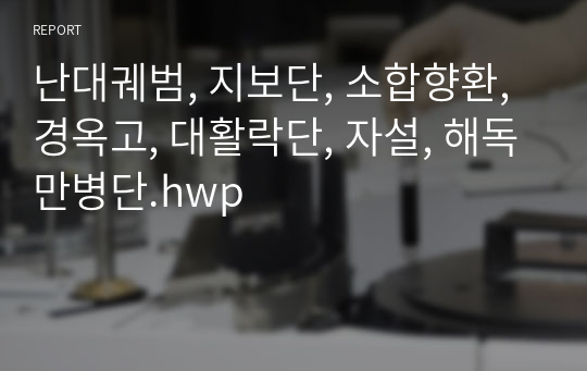 난대궤범, 지보단, 소합향환, 경옥고, 대활락단, 자설, 해독만병단.hwp