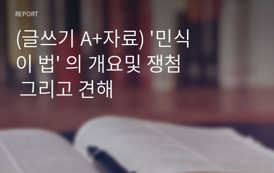 (글쓰기 A+자료) &#039;민식이 법&#039; 의 개요및 쟁첨 그리고 견해