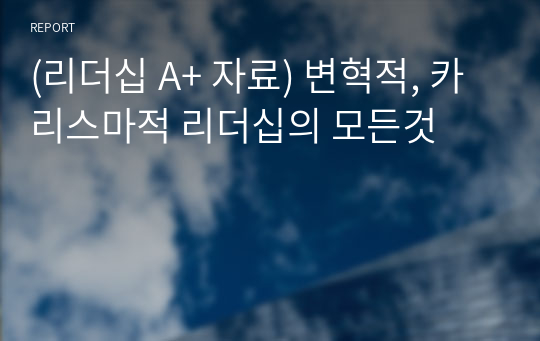 (리더십 A+ 자료) 변혁적, 카리스마적 리더십의 모든것