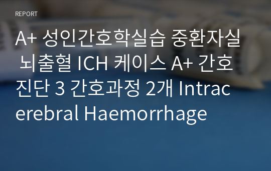 A+ 성인간호학실습 중환자실 뇌출혈 ICH 케이스 A+ 간호진단 3 간호과정 2개 Intracerebral Haemorrhage