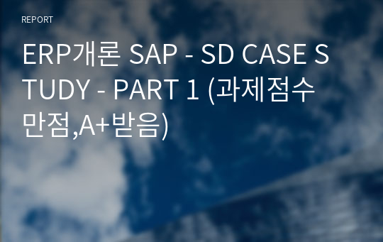 ERP개론 SAP - SD CASE STUDY - PART 1 (과제점수 만점,A+받음)