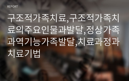 구조적가족치료,구조적가족치료의주요인물과발달,정상가족과역기능가족발달,치료과정과치료기법