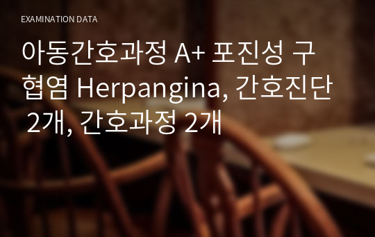 아동간호과정 A+ 포진성 구협염 Herpangina, 간호진단 2개, 간호과정 2개