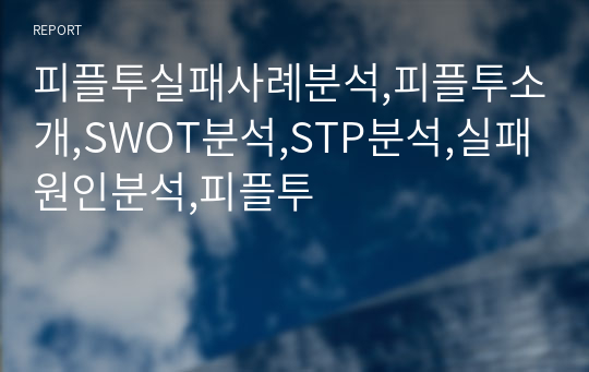 피플투실패사례분석,피플투소개,SWOT분석,STP분석,실패원인분석,피플투