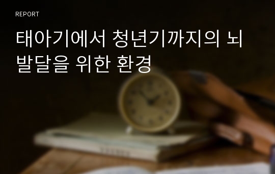 태아기에서 청년기까지의 뇌발달을 위한 환경