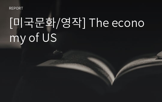 [미국문화/영작] The economy of US