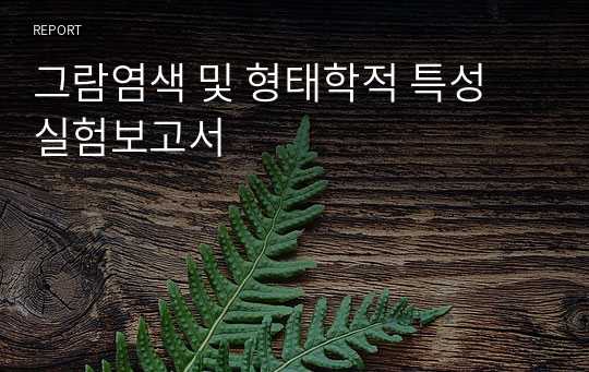 그람염색 및 형태학적 특성 실험보고서