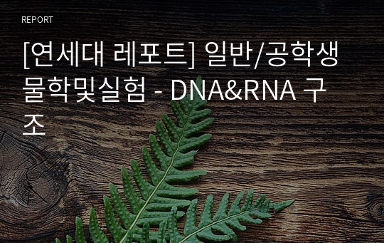 [연세대 레포트] 일반/공학생물학및실험 - DNA&amp;RNA 구조