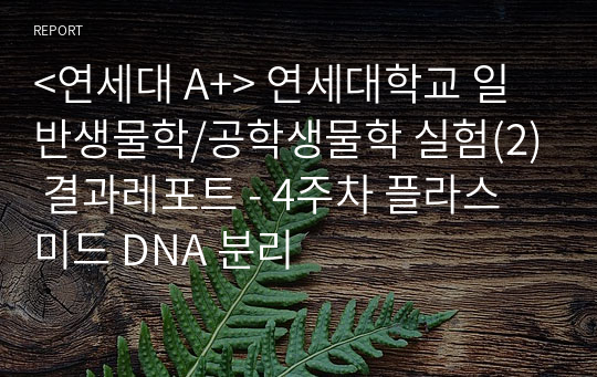 &lt;연세대 A+&gt; 연세대학교 일반생물학/공학생물학 실험(2) 결과레포트 - 4주차 플라스미드 DNA 분리