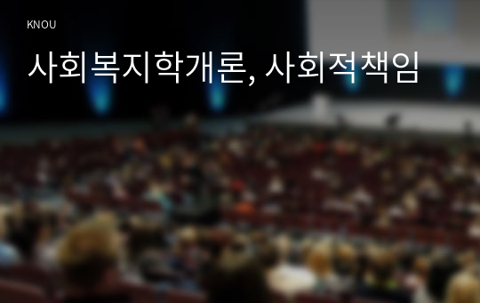 사회복지학개론, 사회적책임