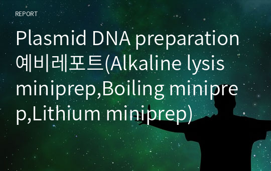 Plasmid DNA preparation예비레포트(Alkaline lysis miniprep,Boiling miniprep,Lithium miniprep)