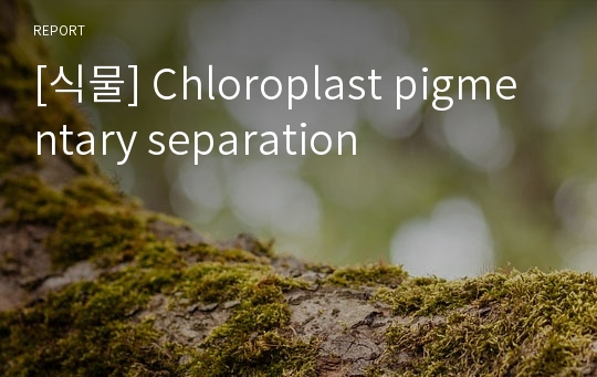 [식물] Chloroplast pigmentary separation