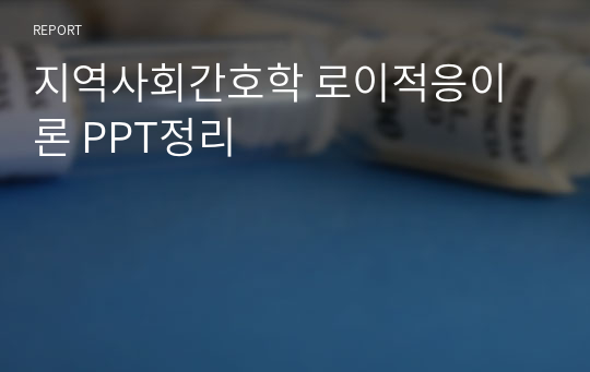 지역사회간호학 로이적응이론 PPT정리