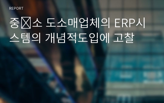 중․소 도소매업체의 ERP시스템의 개념적도입에 고찰