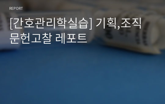 [간호관리학실습] 기획,조직 문헌고찰 레포트