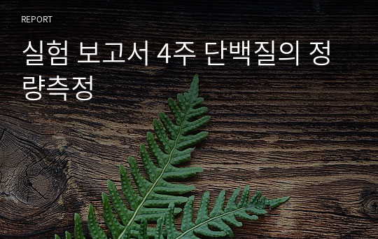 실험 보고서 4주 단백질의 정량측정