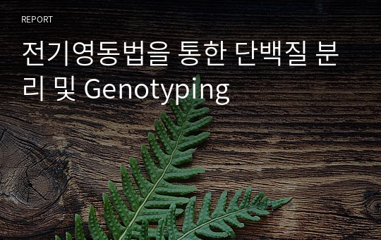 전기영동법을 통한 단백질 분리 및 Genotyping